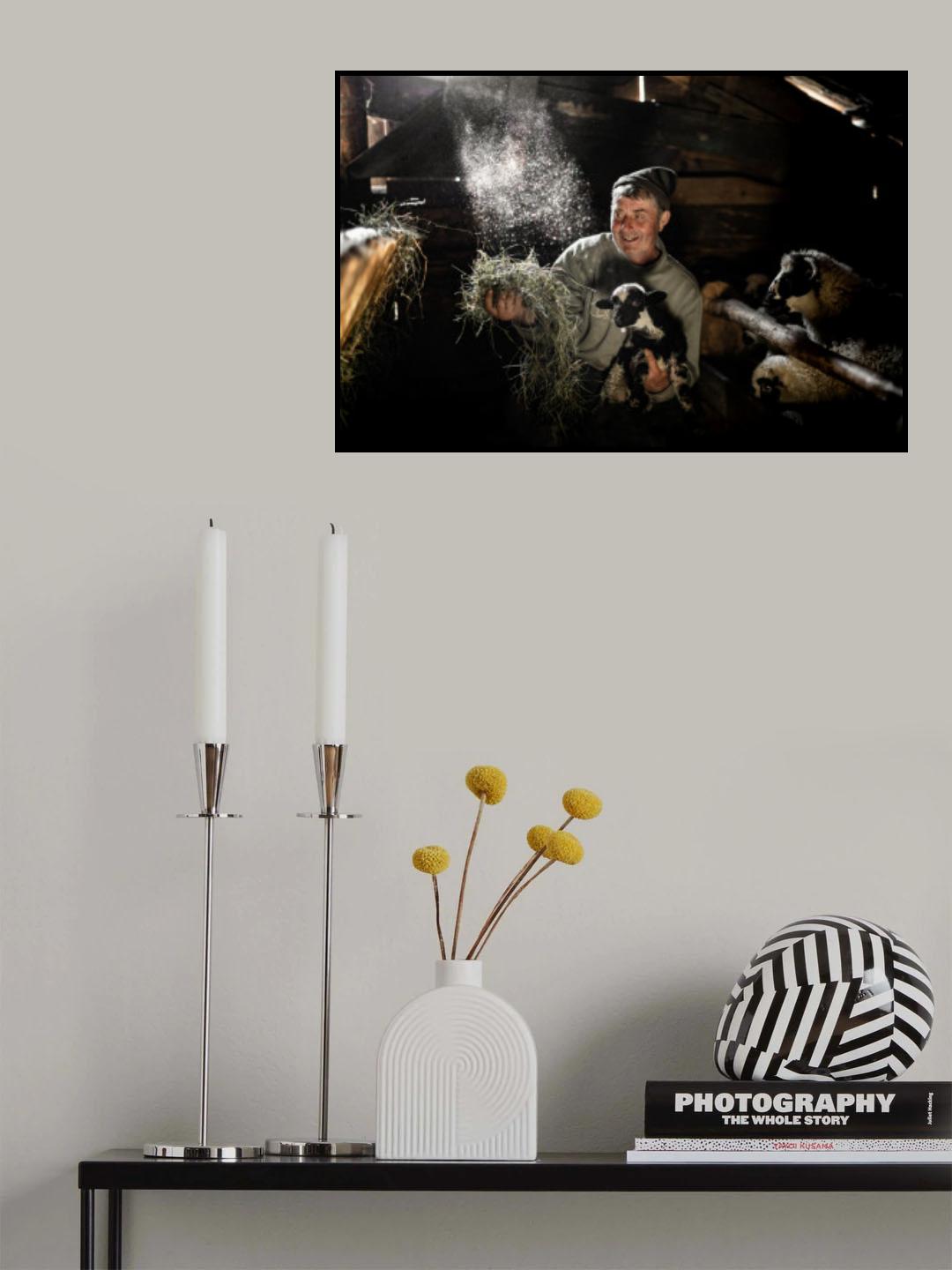 The shepard Poster och Canvastavla