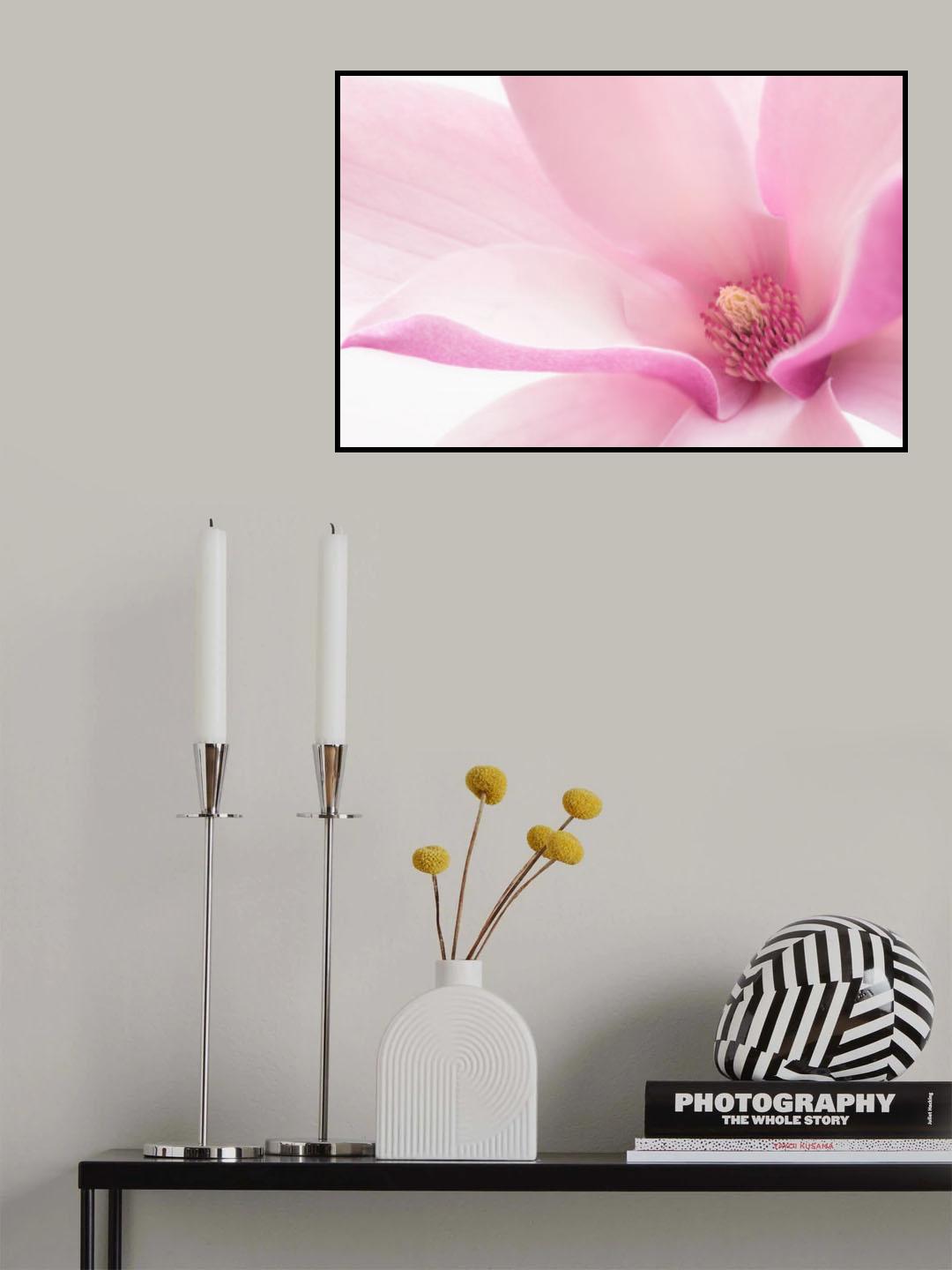 Pink Magnolia Poster och Canvastavla