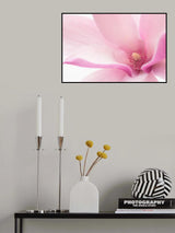 Pink Magnolia Poster och Canvastavla