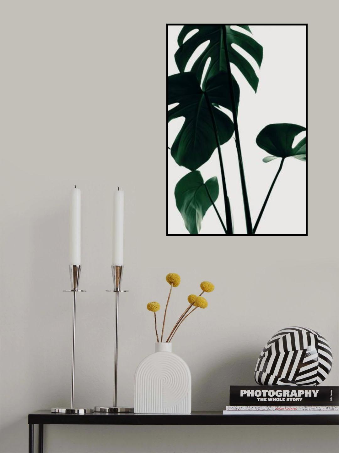 Monstera Natural 25 Poster och Canvastavla