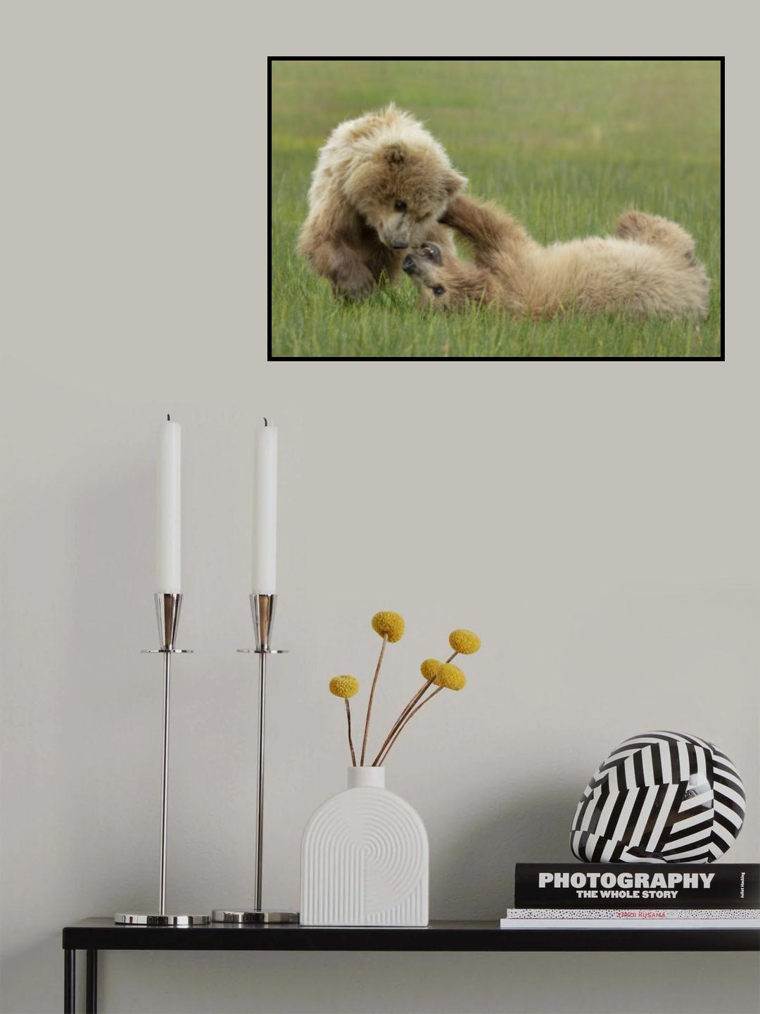 Sibling Fun Poster och Canvastavla
