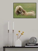 Sibling Fun Poster och Canvastavla