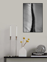 Scorpio Rising Poster och Canvastavla