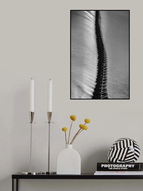 Scorpio Rising Poster och Canvastavla