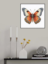 Butterfly 37 Poster och Canvastavla