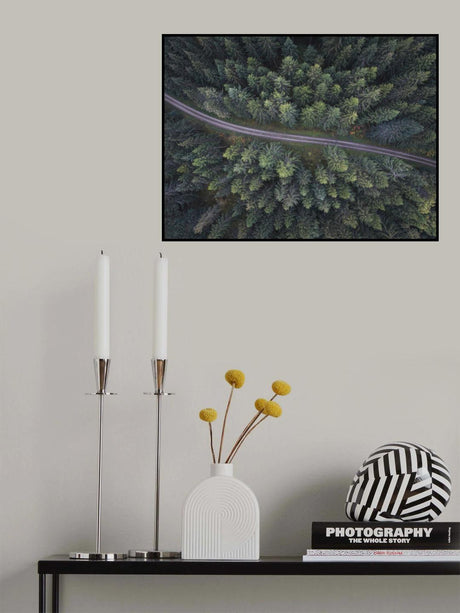 Small road through the forest Poster och Canvastavla