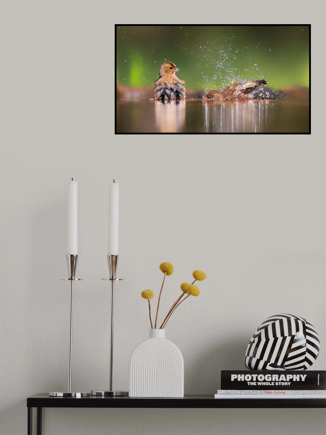 Enjoy Poster och Canvastavla