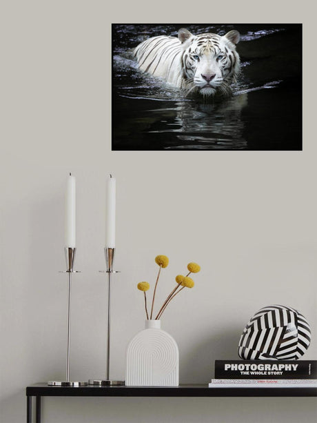 Looking at Me Looking at You Poster och Canvastavla