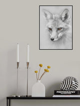 Red Fox Portrait Poster och Canvastavla
