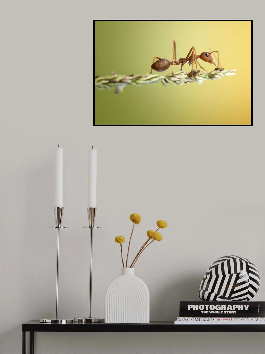 The Ant Poster och Canvastavla