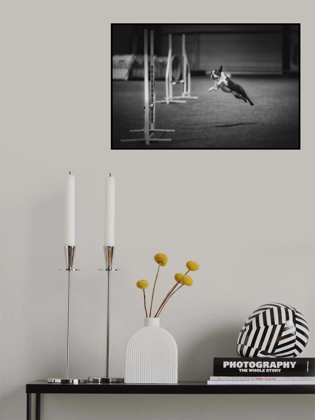 ... I can fly ... Poster och Canvastavla