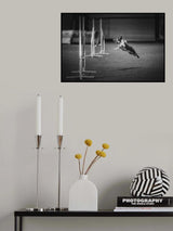 ... I can fly ... Poster och Canvastavla