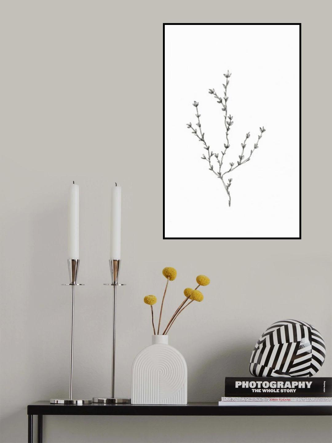 Botanical Trio 2 Poster och Canvastavla