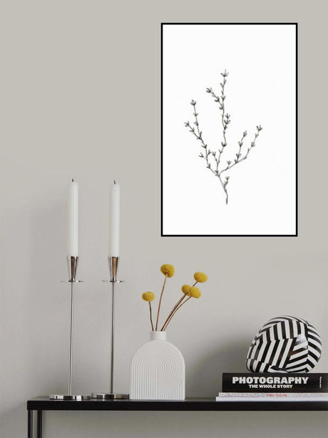 Botanical Trio 2 Poster och Canvastavla