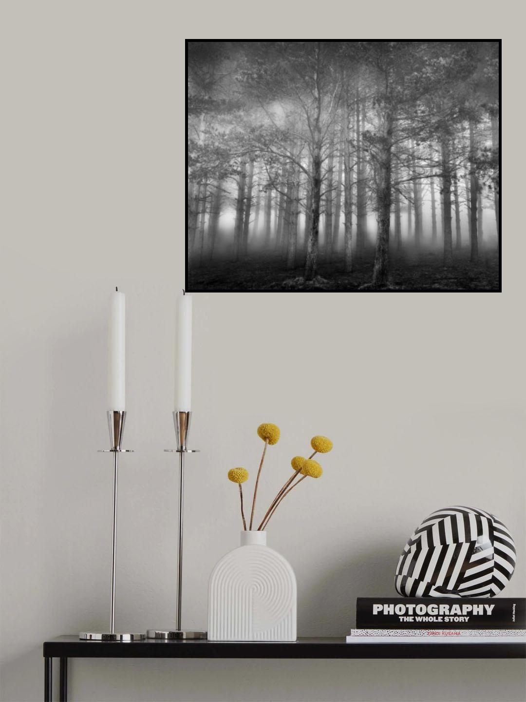 In the Woods II Poster och Canvastavla