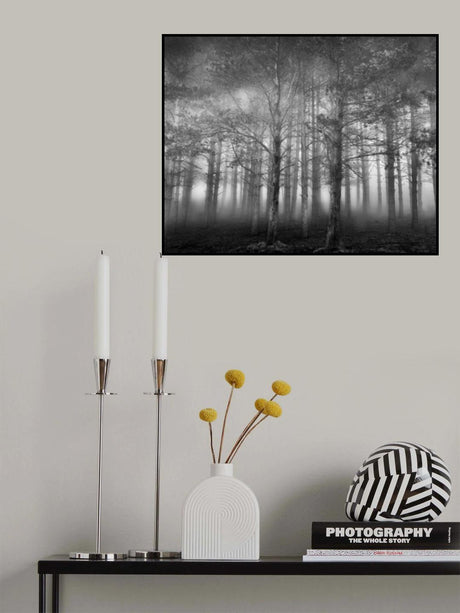 In the Woods II Poster och Canvastavla