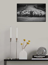 WOMAN Poster och Canvastavla