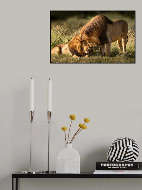 Intimate Poster och Canvastavla