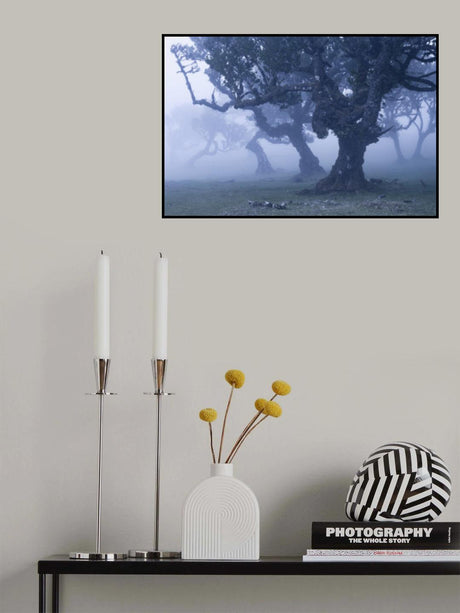 Blue Woods Poster och Canvastavla