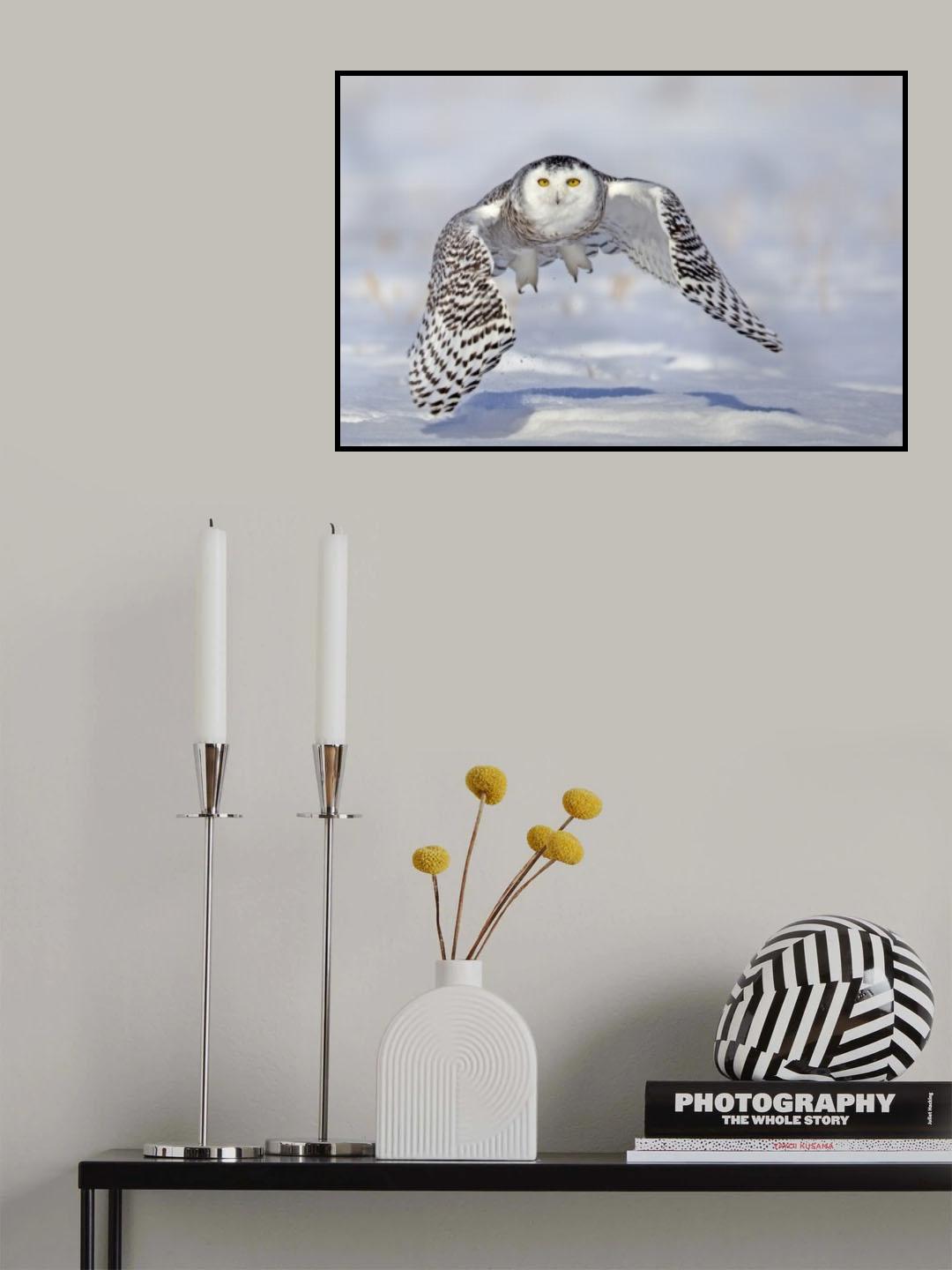 Take Off. Poster och Canvastavla