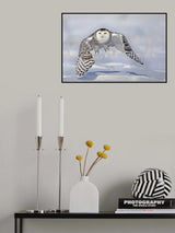Take Off. Poster och Canvastavla
