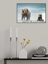 Shaking - Kamchatka, Russia Poster och Canvastavla