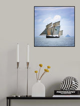 Boat, Bird and Mount Poster och Canvastavla