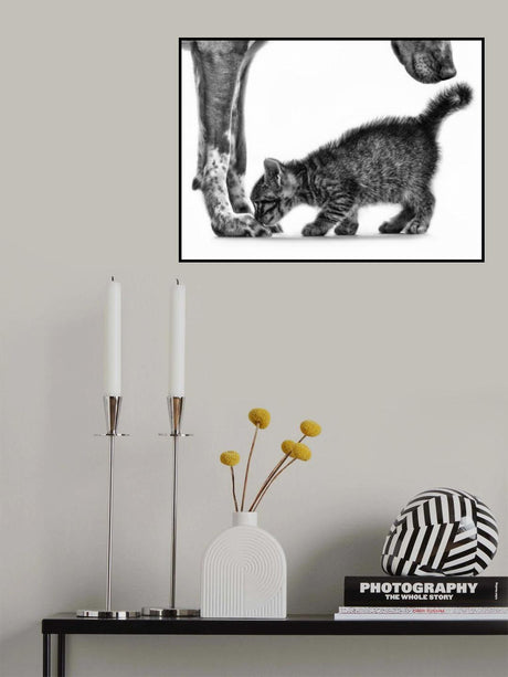 Smell me Poster och Canvastavla
