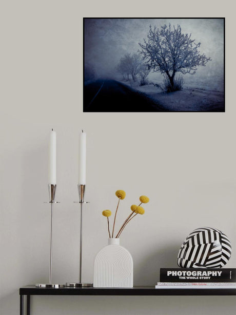 At night foggy Poster och Canvastavla