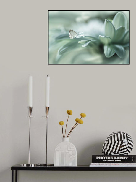 bola ajaib Poster och Canvastavla