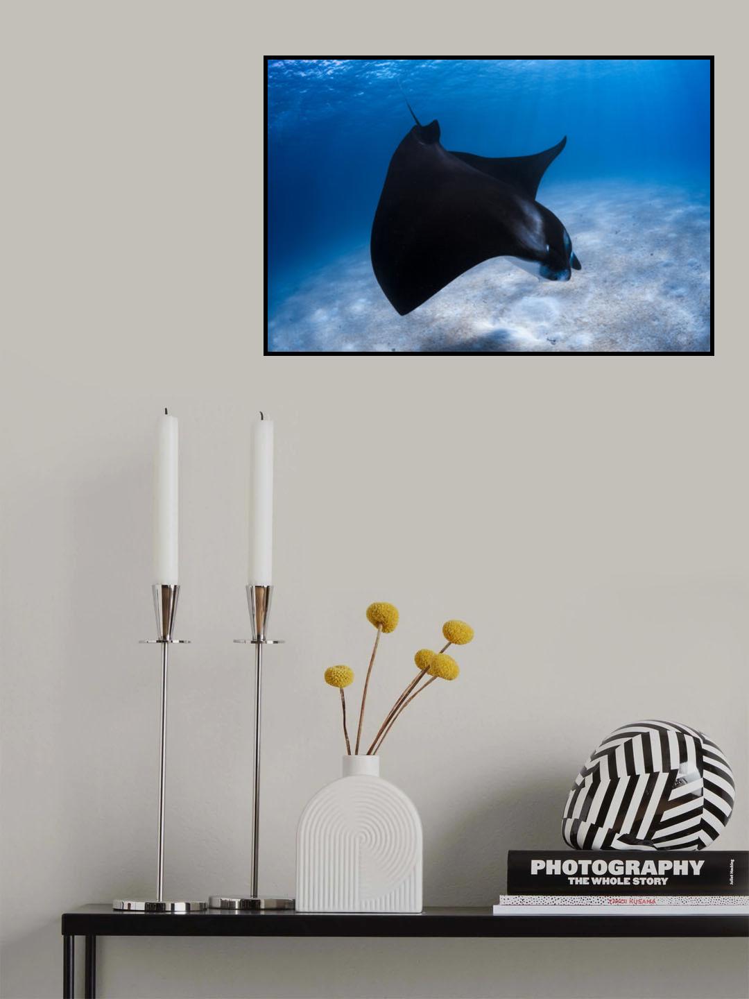 Dancing Manta Poster och Canvastavla