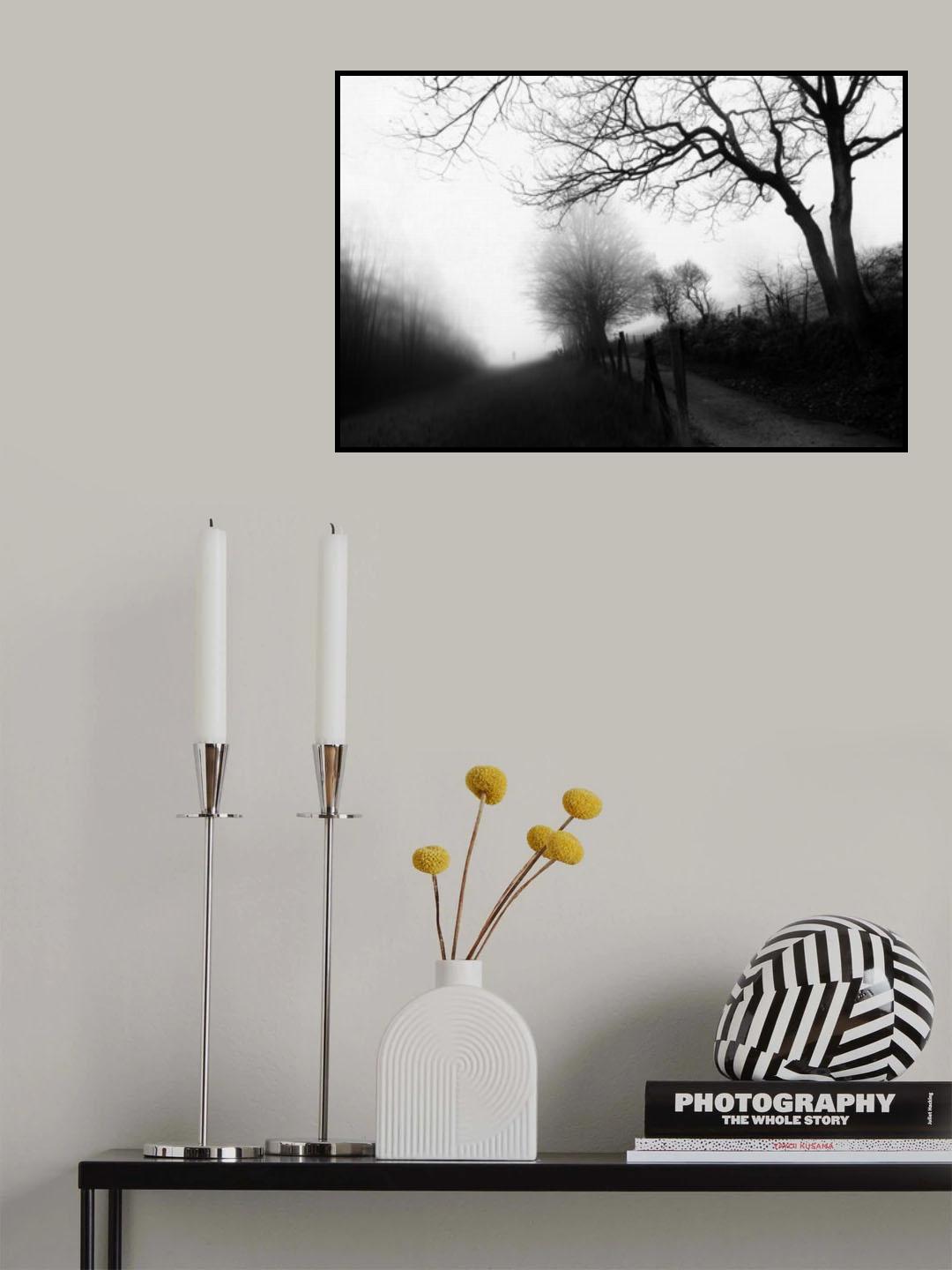 In Fictional Light Poster och Canvastavla