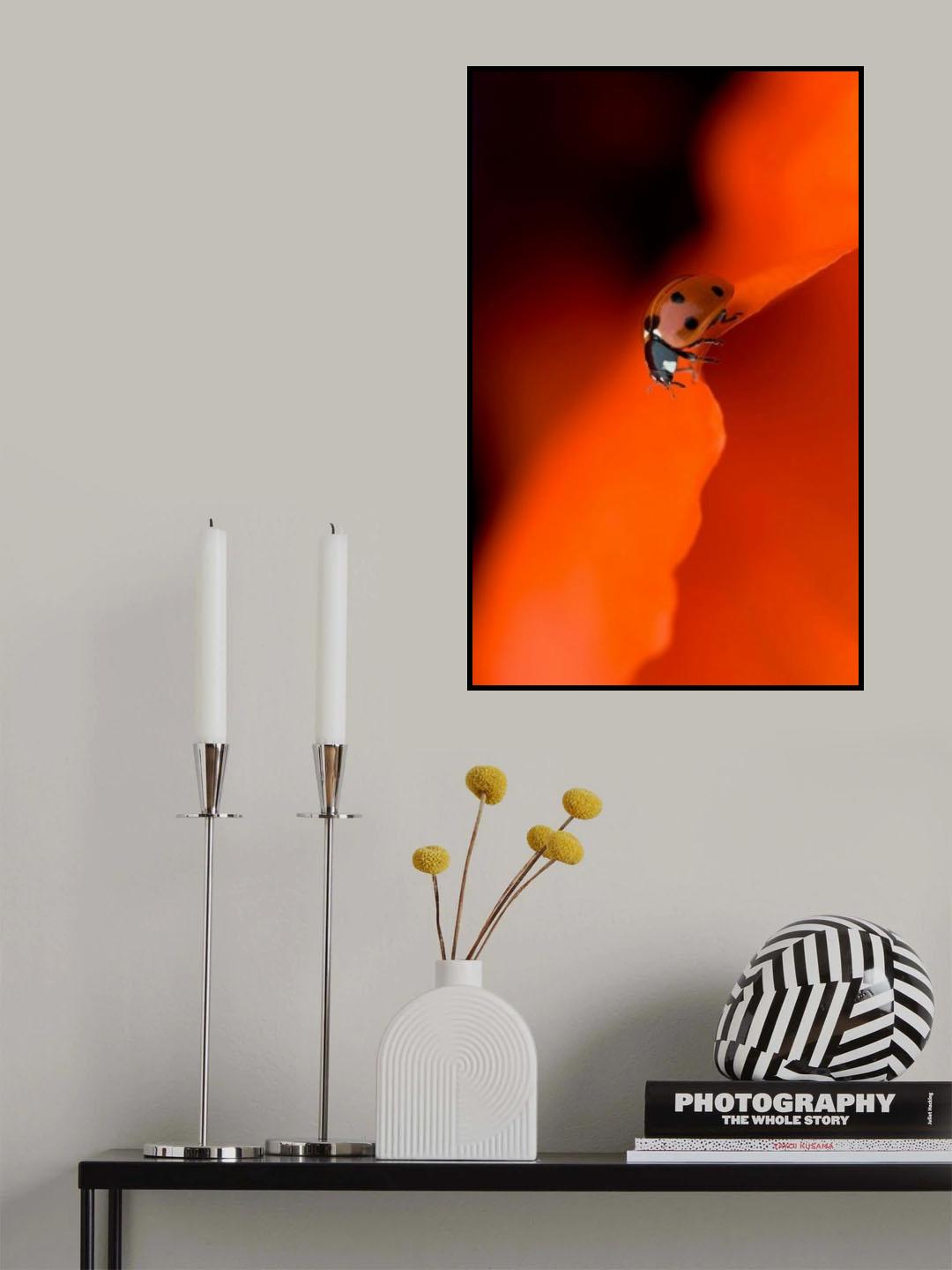Lady in Red Poster och Canvastavla