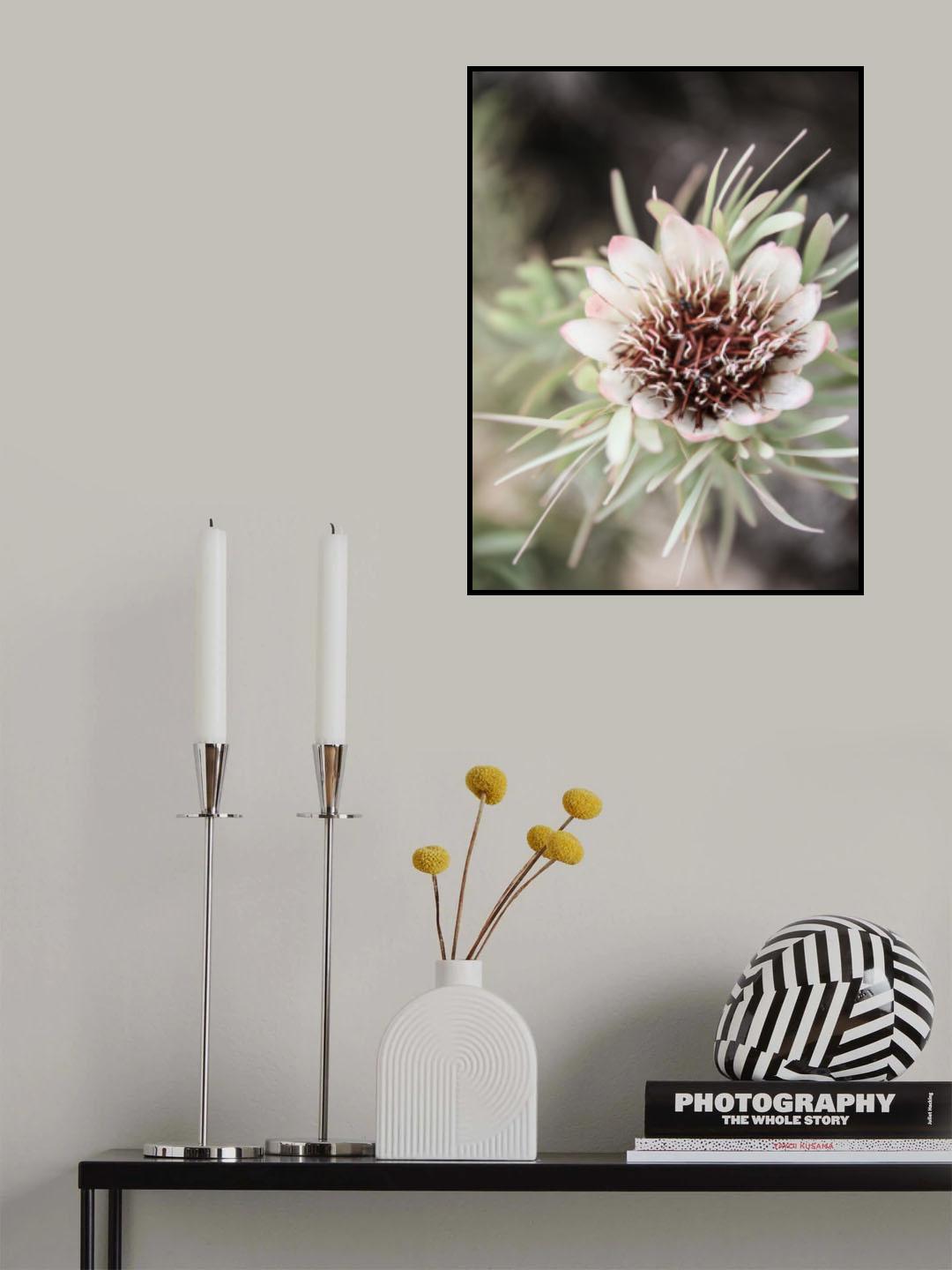 Flos Poster och Canvastavla