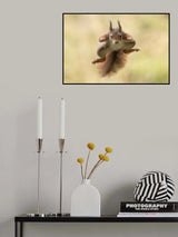 Squirrel ninja Poster och Canvastavla