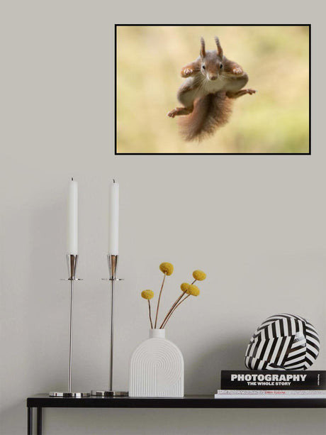 Squirrel ninja Poster och Canvastavla