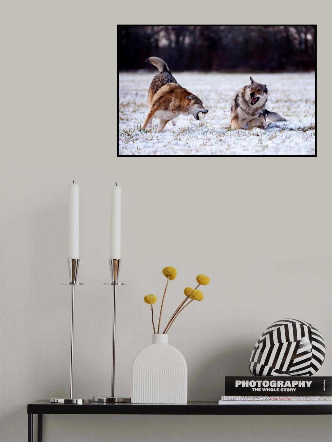 Wolfsblut Poster och Canvastavla