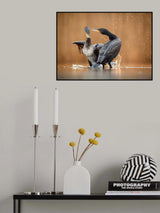 Let's dancing Poster och Canvastavla