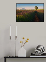 Singularity Poster och Canvastavla