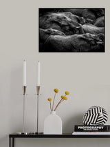 Elephant herd Poster och Canvastavla