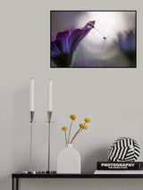 Purple rain Poster och Canvastavla