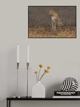 Beauty Poster och Canvastavla