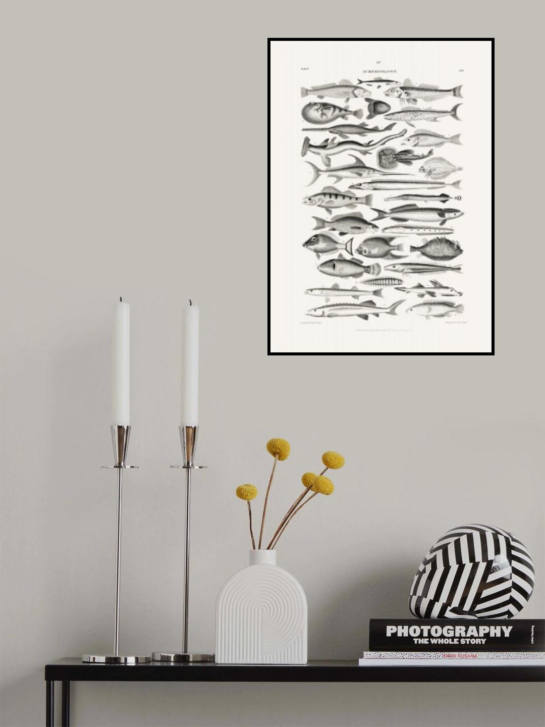 Sealife I Poster och Canvastavla