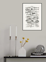 Sealife I Poster och Canvastavla