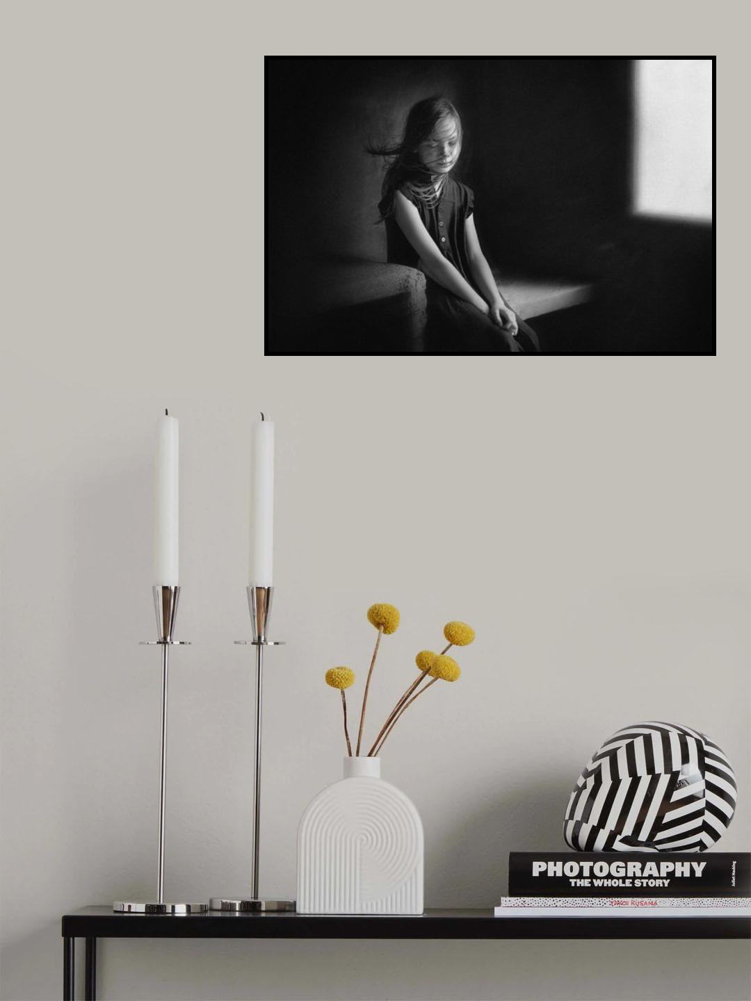 NL Poster och Canvastavla