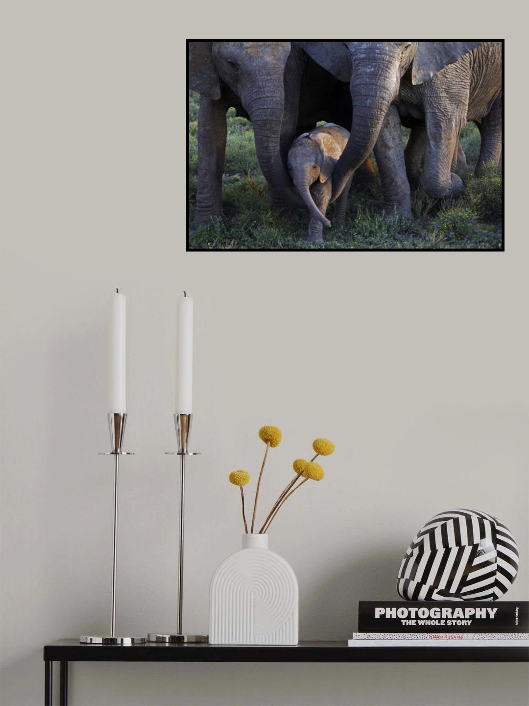 Parenting Poster och Canvastavla