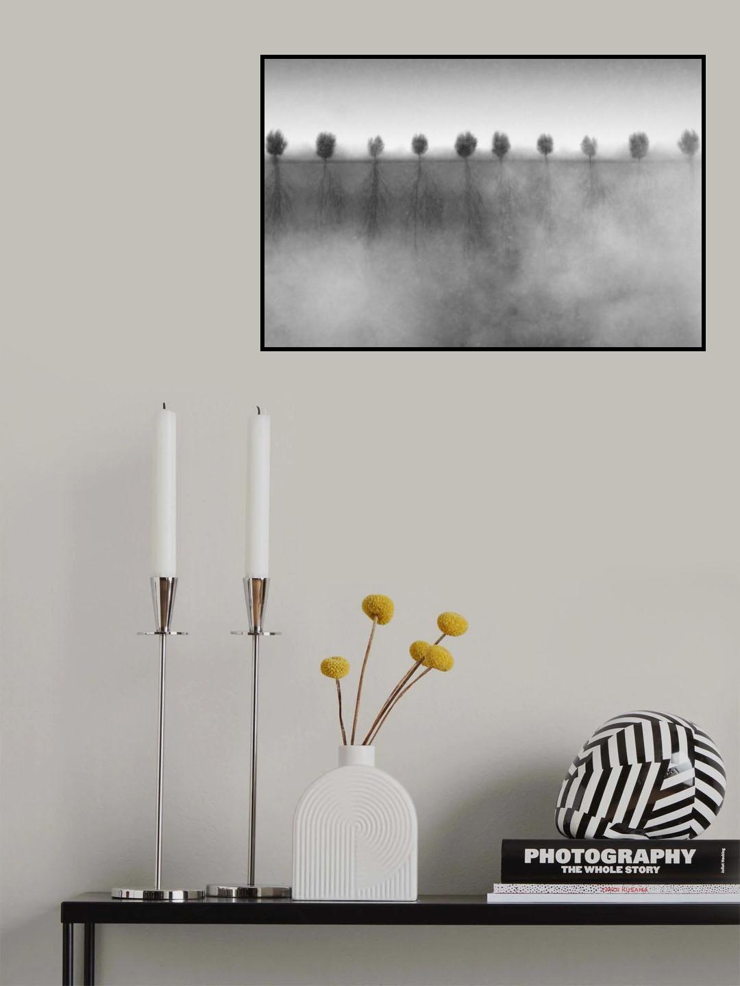 the shyness of trees Poster och Canvastavla