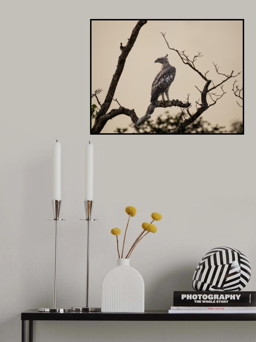 In the dusk of the morning light Poster och Canvastavla