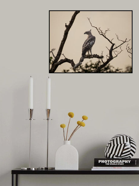 In the dusk of the morning light Poster och Canvastavla