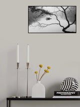 Fog Poster och Canvastavla
